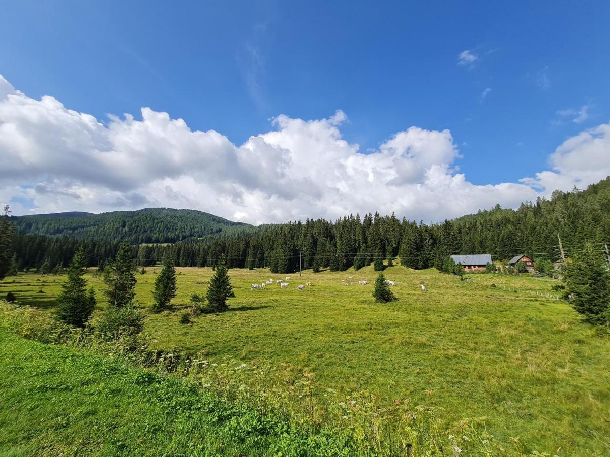 Apartmenthaus Almwiese Flattnitz Bagian luar foto