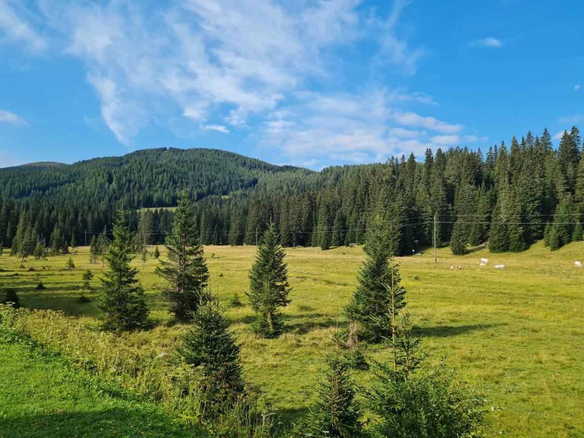 Apartmenthaus Almwiese Flattnitz Bagian luar foto