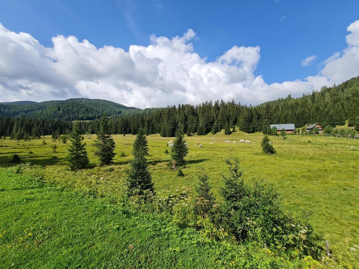 Apartmenthaus Almwiese Flattnitz Bagian luar foto