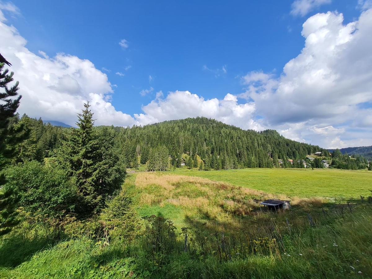 Apartmenthaus Almwiese Flattnitz Bagian luar foto